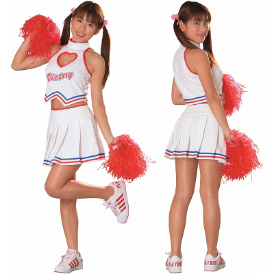 �n�[�g�`�A���[�_�[�i�R�X�`���[���j