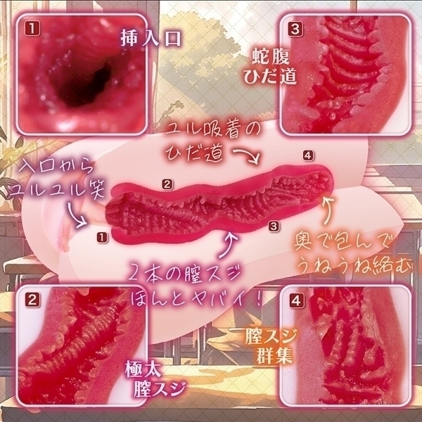 麗しのサセコ先輩